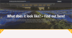 Desktop Screenshot of howdoeslooklike.com