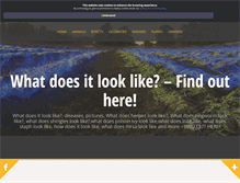 Tablet Screenshot of howdoeslooklike.com